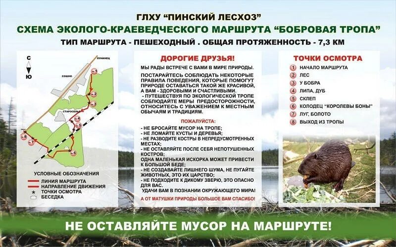 Боброво маршрут. Экотропа в заповеднике. экологические тропы. экологическая тропинка. маршрут экологической тропы.