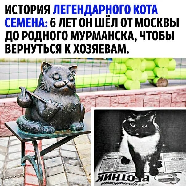 На восточном берегу залива Там, где жил когда-то дед Семён, Развернулся город го