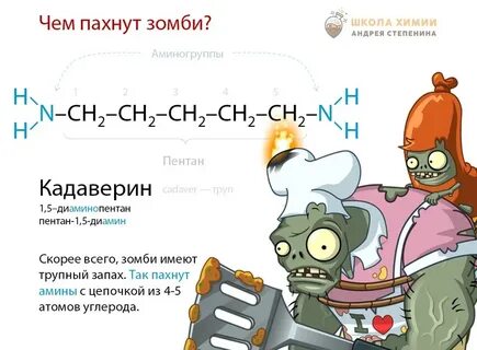 Степенин химия
