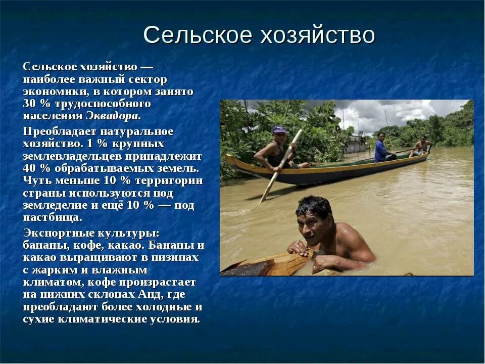 Отрасли специализации стран эквадор. Структура экономики эквадора. Добыча нефти в эквадоре. Кофейные плантации коста рики. Эквадор отрасли специализации сельского хозяйства.