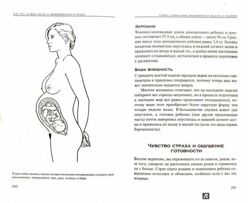 Как пережить схватки. Что нужно знать беременной. Методичка для беременных женщин. Что нужно знать перед родами.