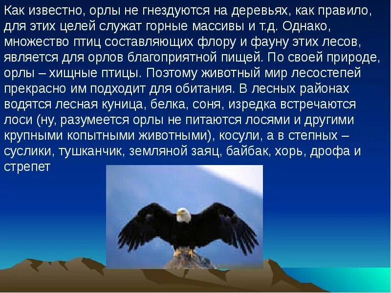 Текст про орла. Презентация на тему Орел. Доклад про орла. Доклад на тему орёл. Орел информация о птице.