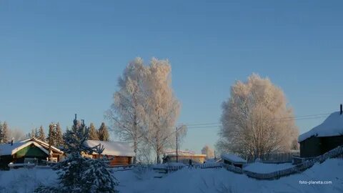 Зеленец сыктывдинский