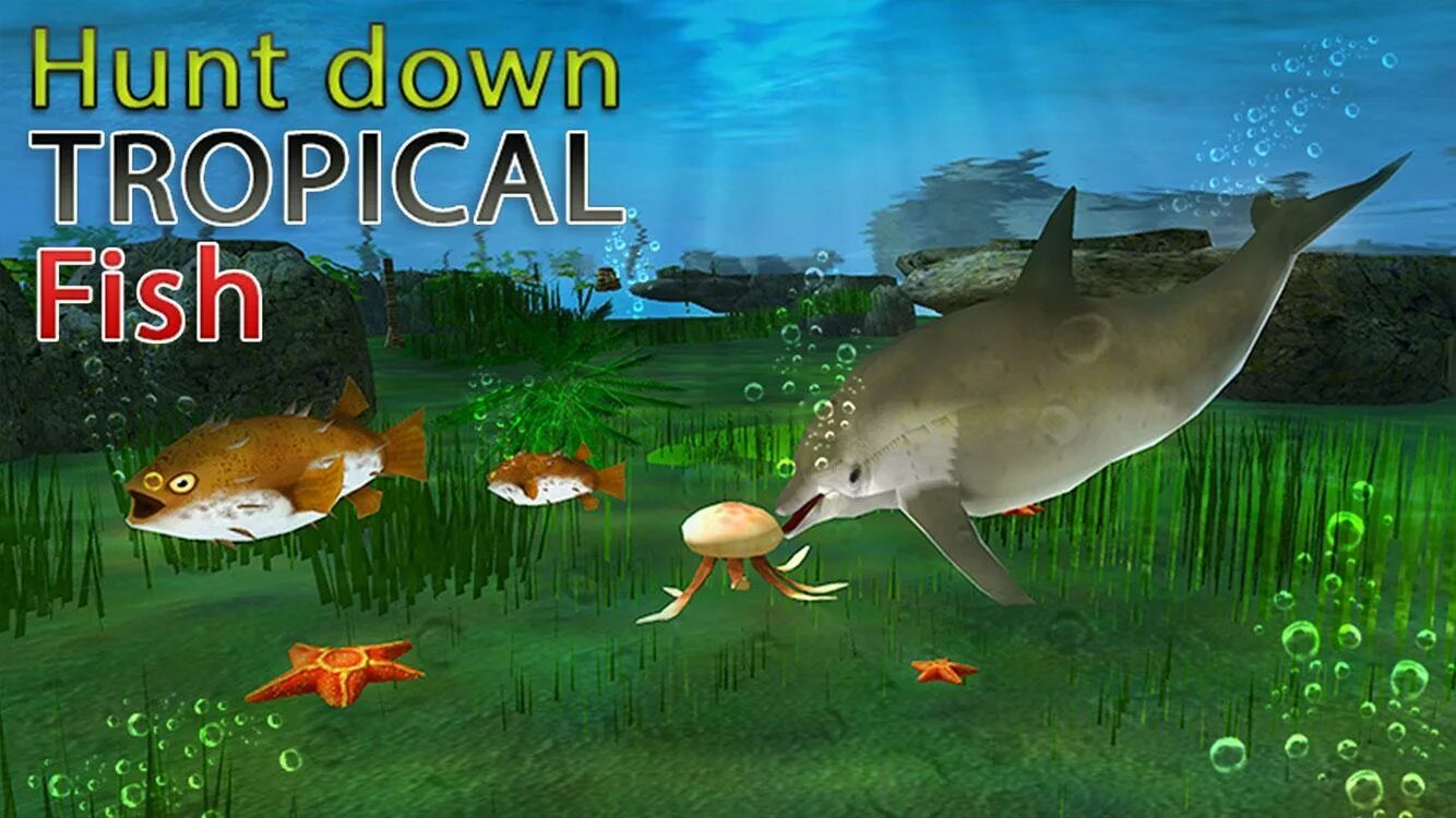 Игры fish simulator. Dolphin симулятор. Симулятор дельфина на ПК. Игра симулятор золотой рыбки. Игра для андроид Fish Simulator.