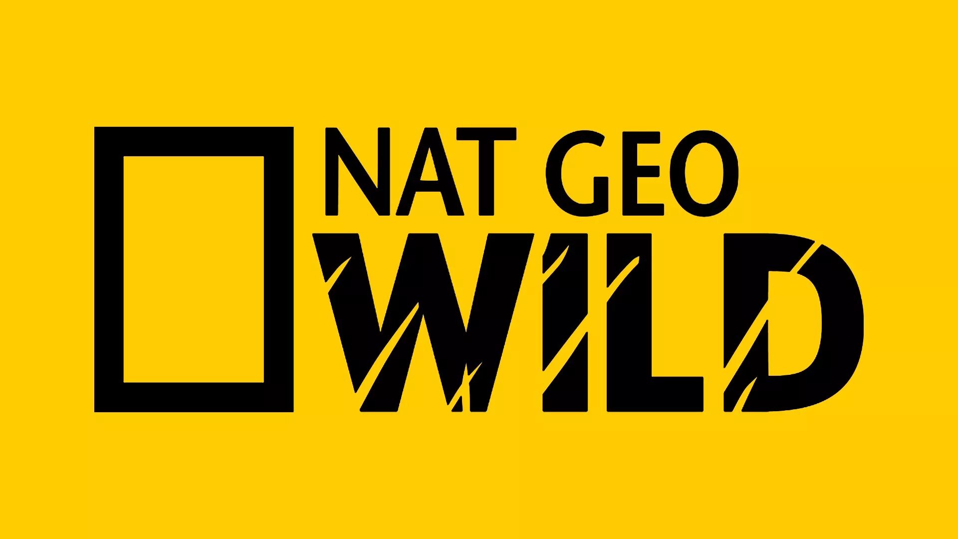 Телеканал National Geographic Wild. Логотипы телеканалов Nat geo. Nat geo Wild логотип. Телеканал нат Гео вайлд. Передачи нат