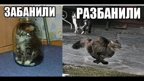 Забанены скорей
