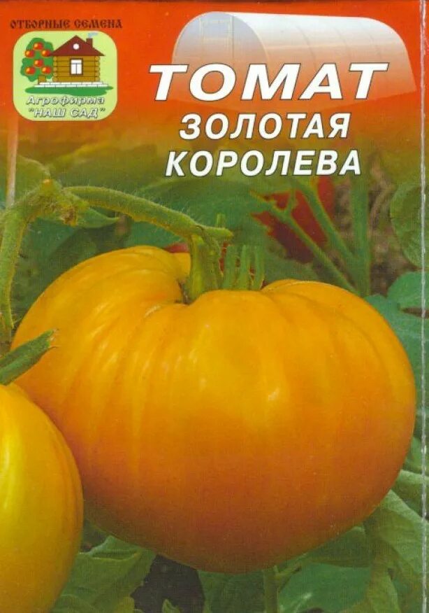 Семена томатов королева. Томат Золотая Королева. Томат Золотая Королева наш сад. Томат золотой самородок. Томат Золотая клуша СС.