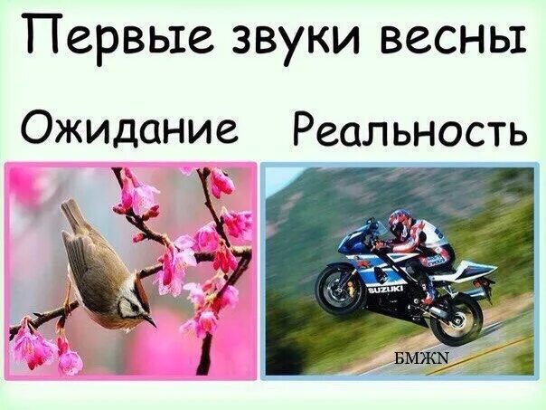 Какие звуки весной. Первые звуки весны. Вестники весны. Какие звуки весной. Первые звуки весны.