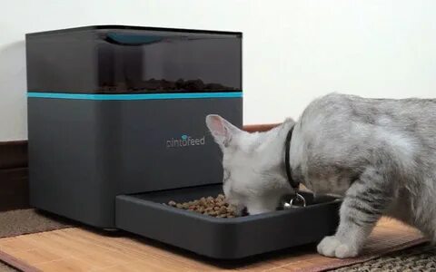 Корми сама