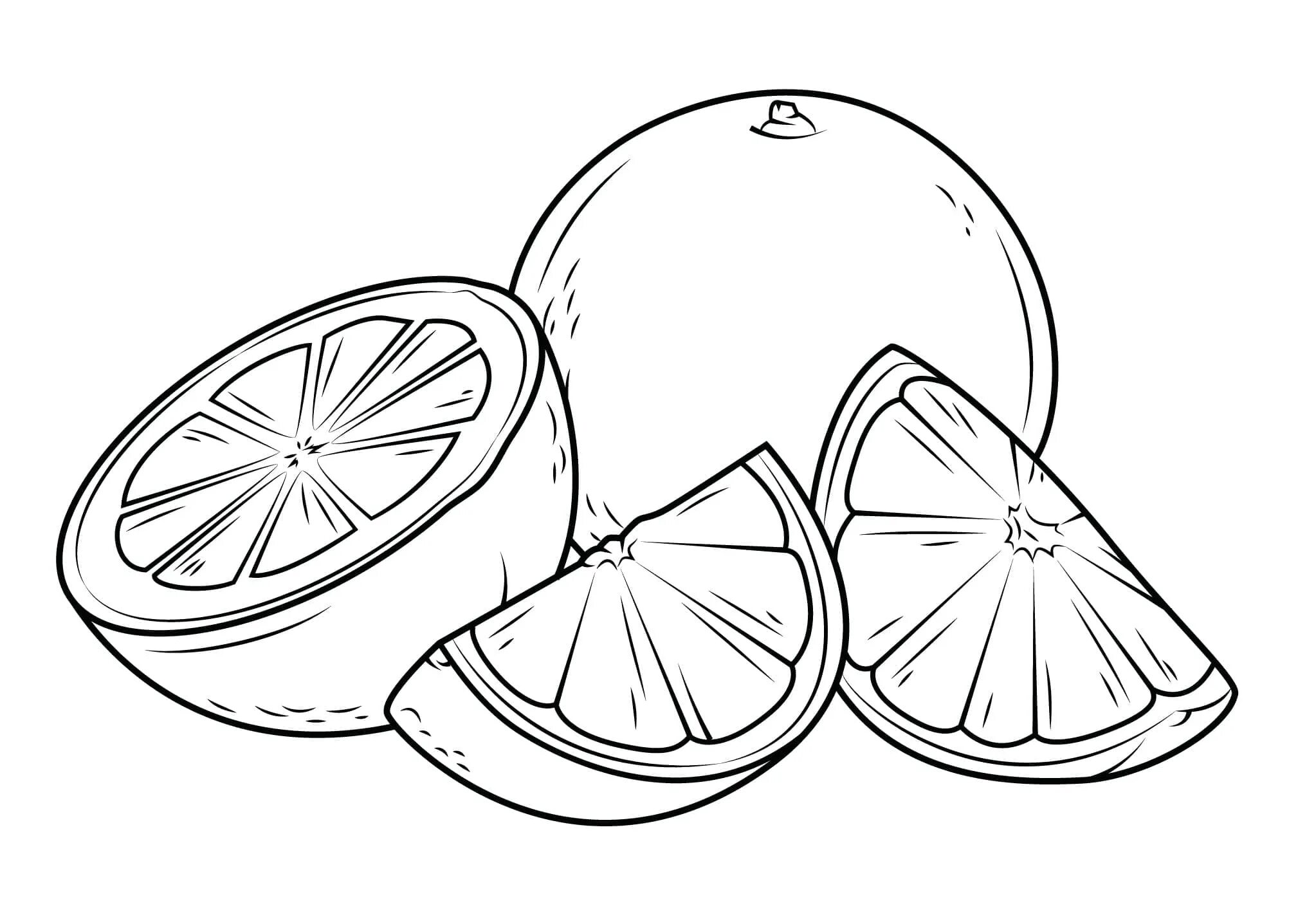 Orange coloring. Апельсин раскраска печать. Апельсин раскраска. Апельсин раскраска. Апельсин картинка раскраска.