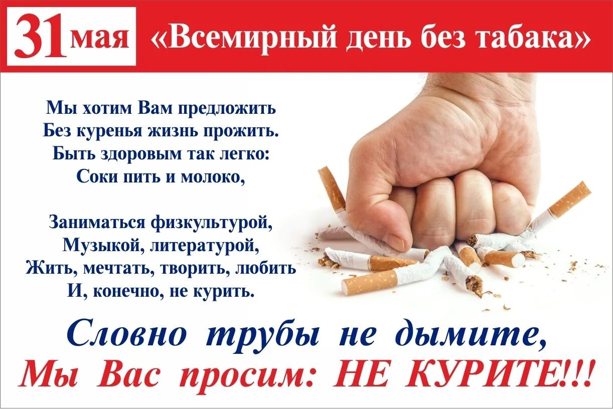 Когда отмечается день табака. День борьбы с курением. всемирный день без табака. 31 мая день без табака. 31 мая всемирный день отказа от курения. 31 мая день отказа от курения.