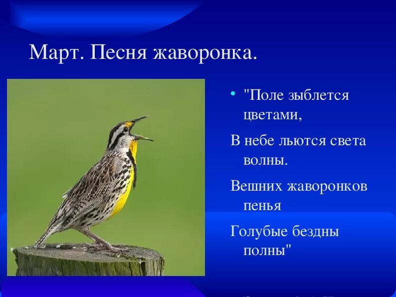 Песня жаворонка. Жаворонок Чайковский. Поле зыблется цветами. Стихотворение поле зыблется цветами.