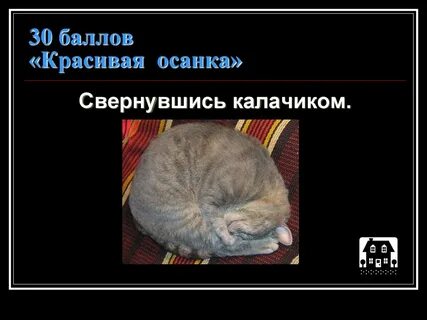 Свернуться калачиком значит свернуться как