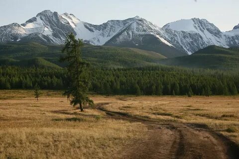 Чуйская алтае