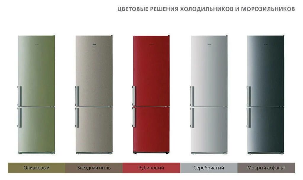 Чем отличается холодильник. Холодильник Атлант ноу Фрост двухкамерный. Холодильник Атлант цветной. Холодильник Атлант нержавеющая сталь. Холодильник Атлант 170 см двухкамерный.
