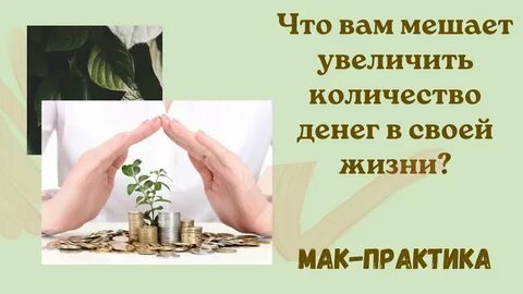 Мак практика