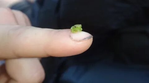 Small part