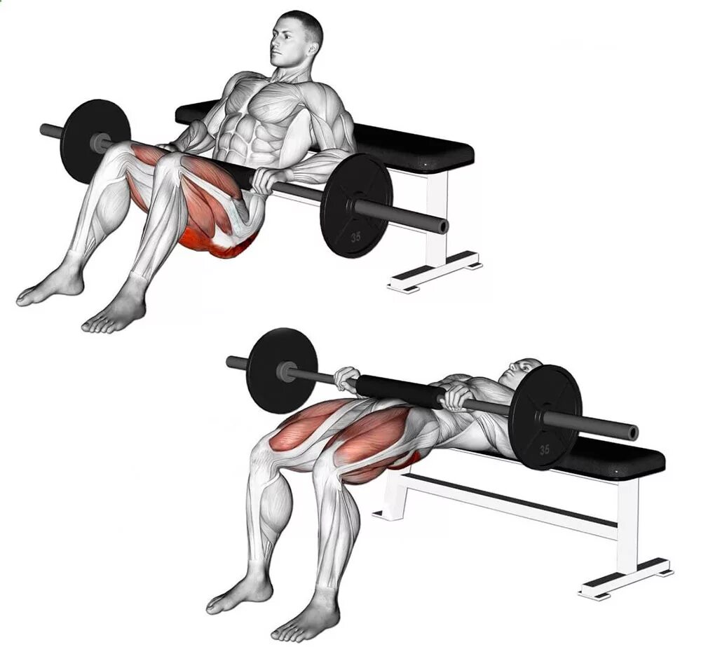 Ягодичный мостик задействованные мышцы. Ягодичный мост со штангой техника. Ягодичный мостик со штангой техника. Ягодичный мостик со штангой на скамье техника.