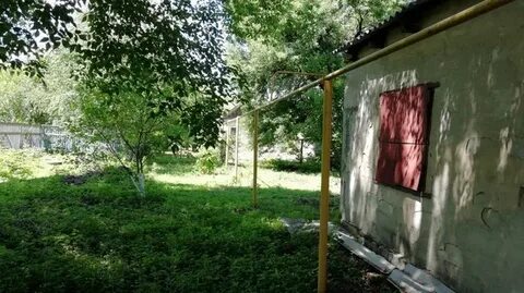 Погода в прогной ростовская область