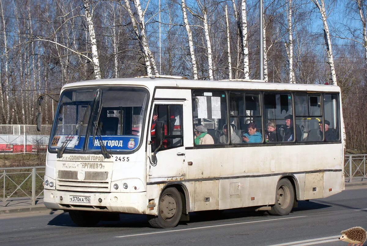 Расписание общественного транспорта. Кужутки-кстово. Автобус кужутки нижний новгород 224. Расписание автобусов перевоз. Автобус кужутки нижний новгород 224.
