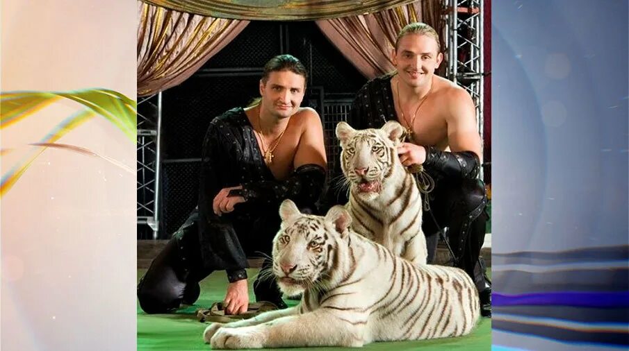 Эдгард запашный с тиграми. Братья запашные. Эдгард запашный. Цирковые династии запашные. Братья запашные.