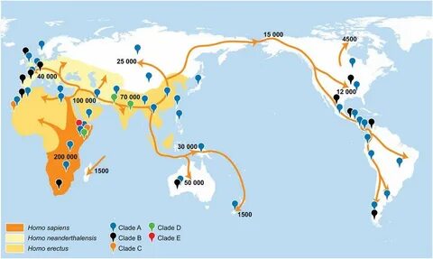 Humans maps