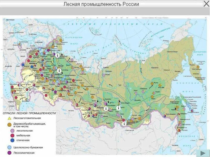 Районы химической промышленности россии. Лесная промышленность РФ атлас. Лесная и деревообрабатывающая промышленность России карта. Лесная промышленность контурная карта. Центры Лесной промышленности России карта.