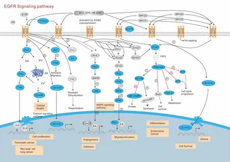 Kit signaling
