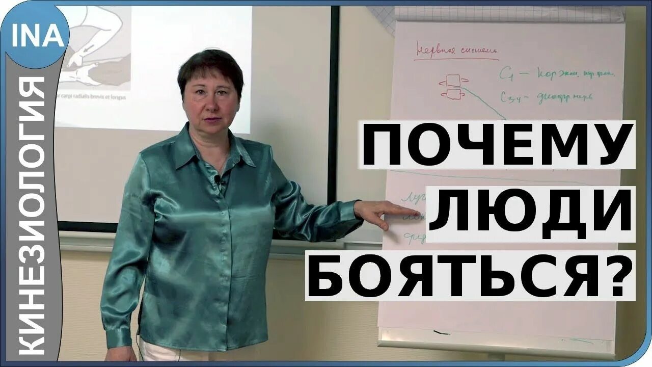 Что такое л ф. Что такое л ф