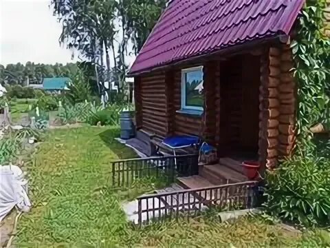 Авито кольцово новосибирская область. Авито кольцово новосибирская область. Авито кольцово новосибирская область. Снт клен новосибирская область кольцово. Лес рядом снт изумруд в новосибирске.