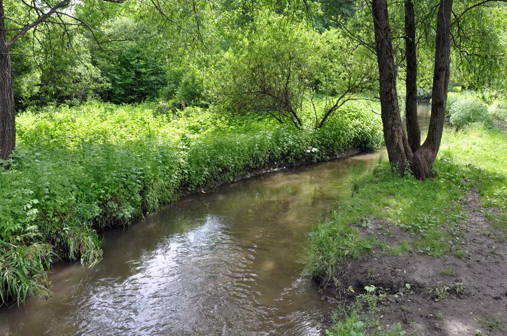 Река время работы. Река колыма магаданская область. Суздаль осень. Фото технологии река времени. Река время работы.