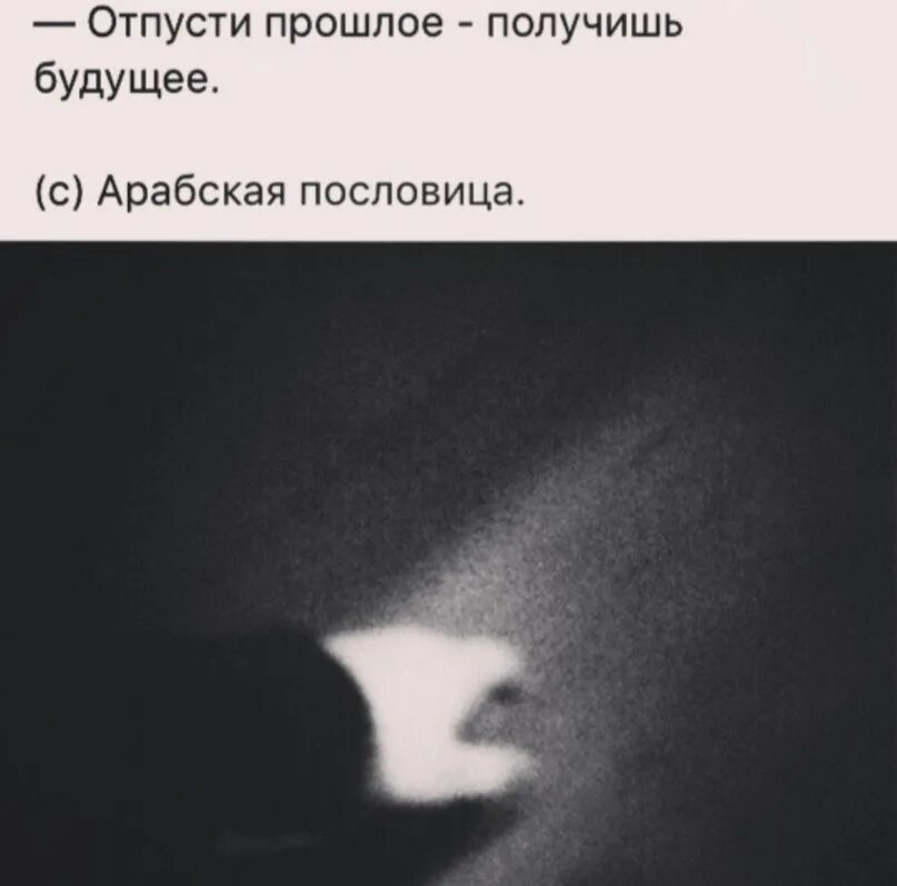 Отпустил получил
