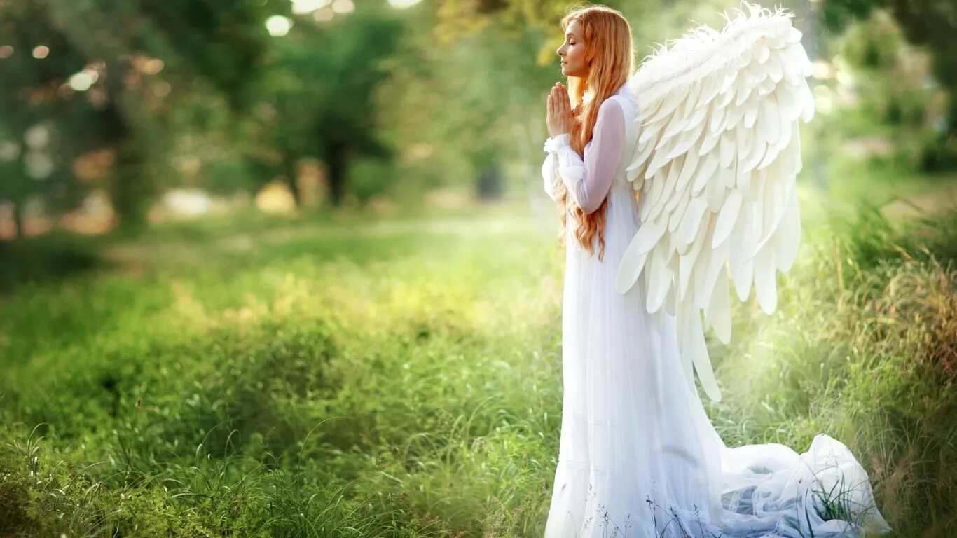 Angel s love. Девушка - ангел. Фотосессия с крыльями. Девушка с крыльями. Девушка ангел с крыльями.