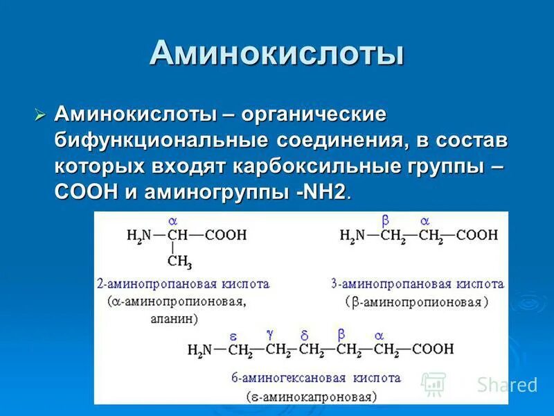 Аминокислоты какие соединения. Аминокислота вторичные амины. Состав веществ аминов. Аминокислоты с 2 карбоксильными группами. Аминокислоты класс соединений.