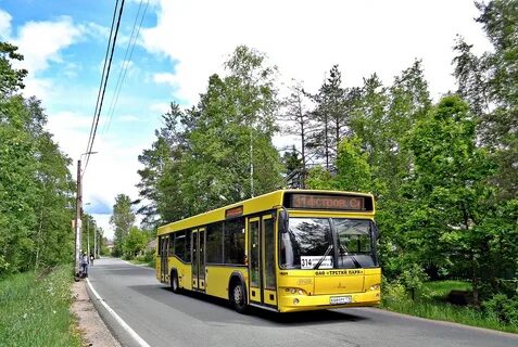 Автобус 494 белоостров расписание