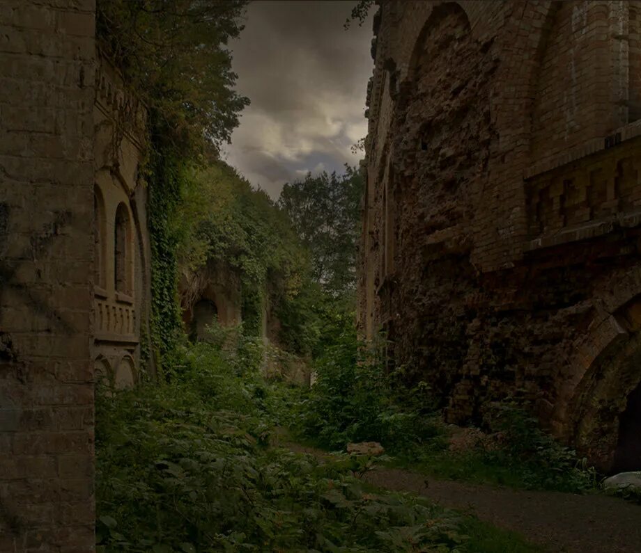 Лавкрафт замок. Заброшенные замки готика венгрии словении. Руины в лесу. Руины заброшенного замка всеволожск. Развалины фэнтези.