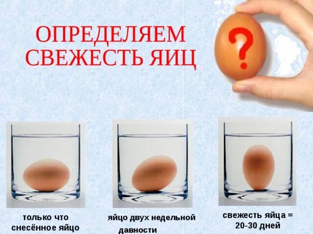 Свежее ли яйцо. Как определить свежесть яйца. Как узнать свежесть яиц. Свежее яйцо. Свежесть яиц в воде.