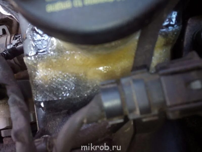Масло выдавило из под. Масло выдавило из под