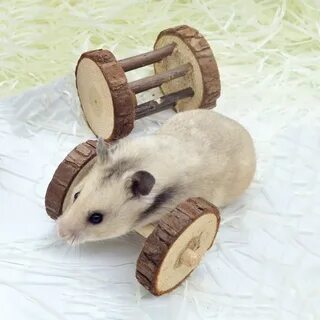 Ролик игрушка