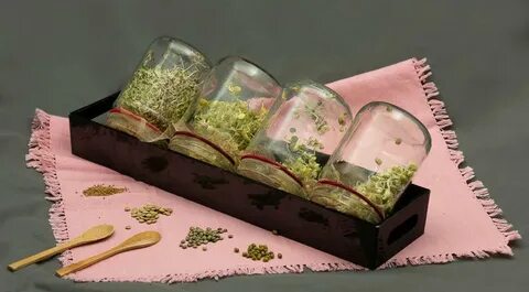 Банки для микрозелени