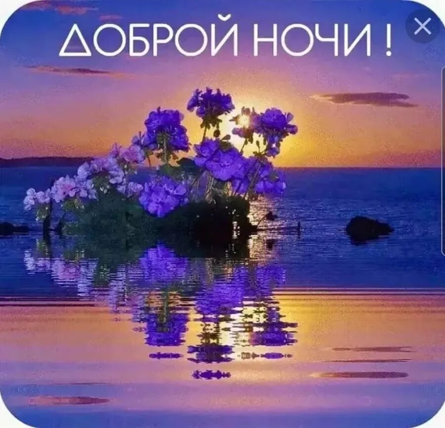 Доброй ночи природа пожелание