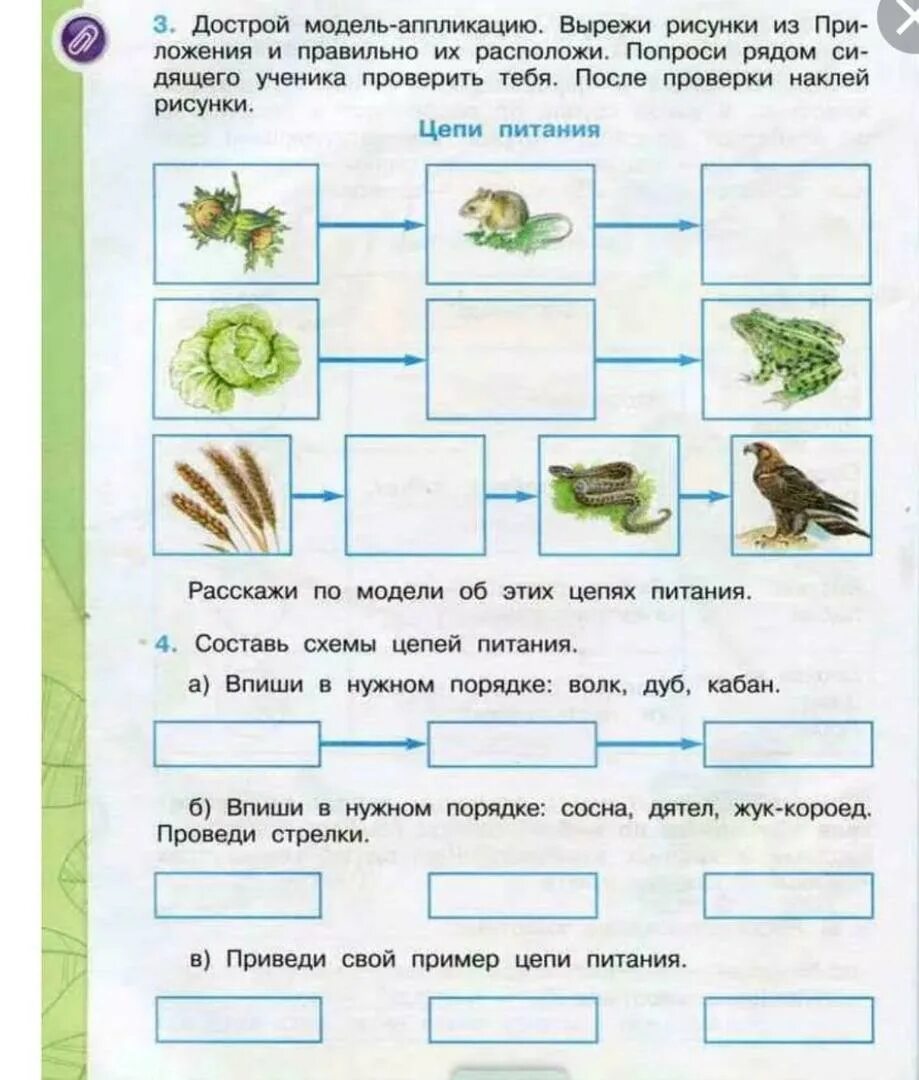 Окр мир рабочая тетрадь стр 35. Цепи питания 3 к учебнику Плешаков. Окружающий мир 3 класс 1 часть Плешаков цепи питания. Цепи питания 3 класс окружающий мир рабочая тетрадь Плешаков 1. Цепи питания 3 класс окружающий мир рабочая тетрадь Плешаков 1 часть.