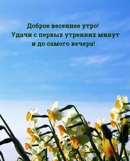 Отзывы о добром утре