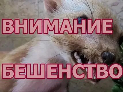 До 3 апреля