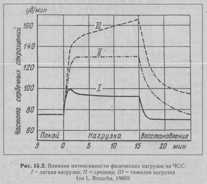 Пульс 100 при физических нагрузках