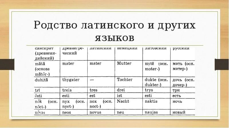 Строение сердца легочный ствол аорта. Строение сердца вид спереди. Сердце вид сзади анатомия. Левый на латинском. Строение правого предсердия сердца.