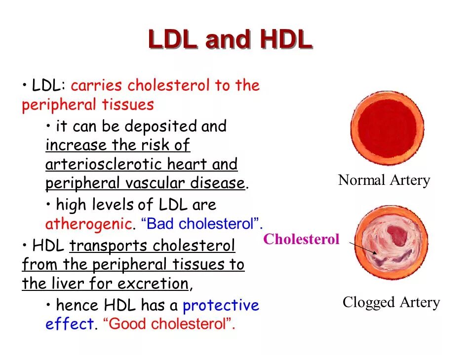 Анализ LDL - cholesterol. LDL HDL. LDL cholesterol норма. HDL cholesterol норма.