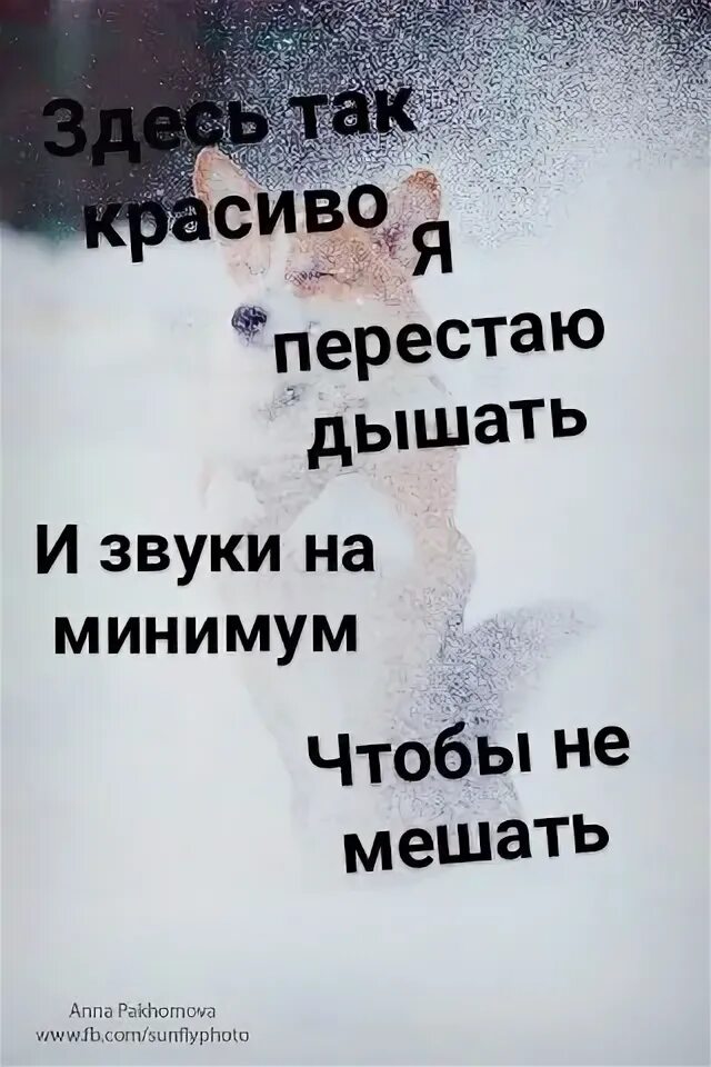 Я перестаю дышать звуки на минимум