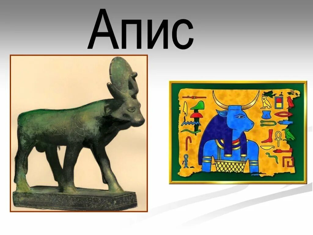 Бог апис в древнем египте. Apis msk. Бык апис в древнем египте. Apis msk. Апис бог египта.