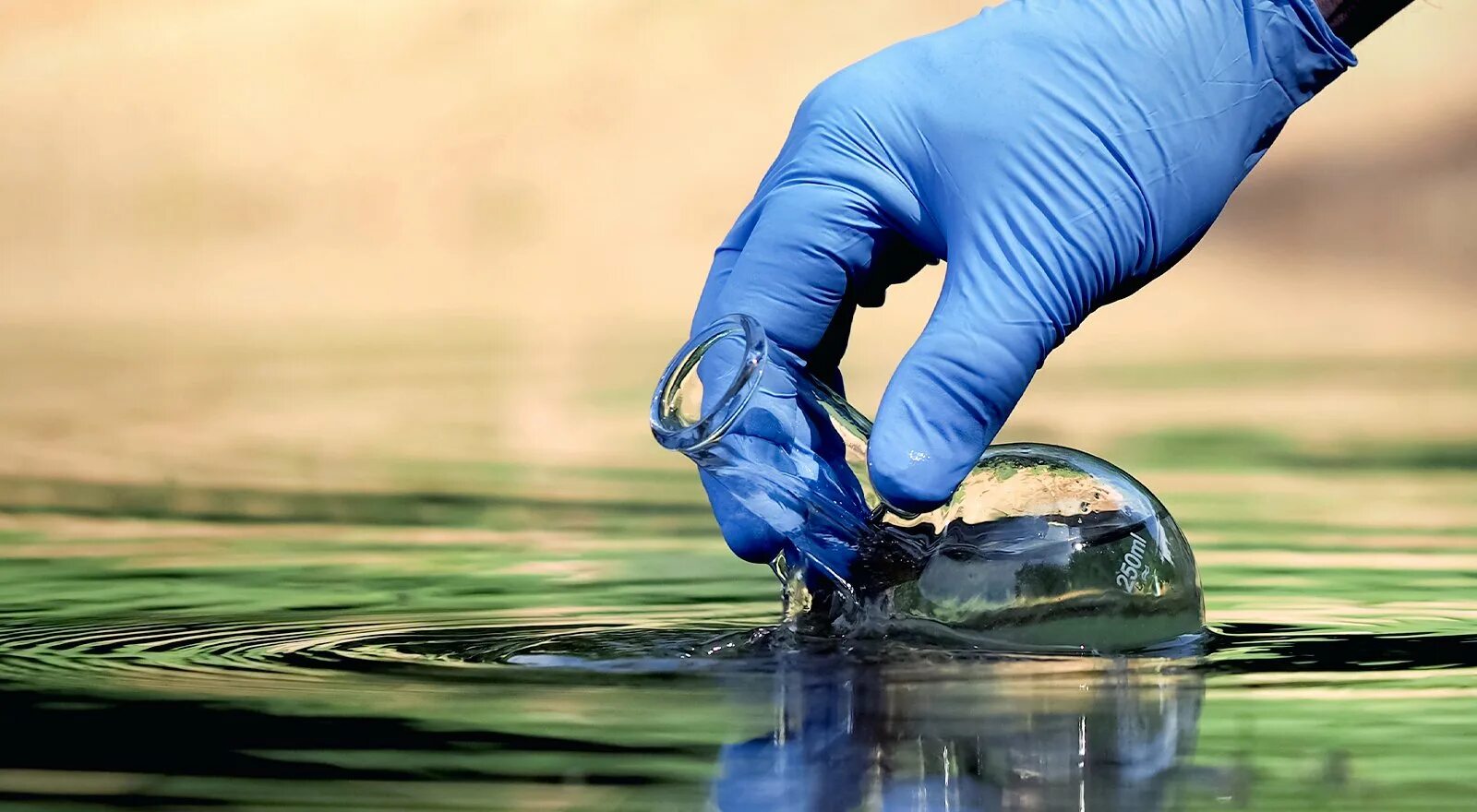 Экологическое качество воды. Вода. Ухудшение качества воды. Исследование реки.